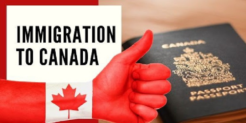 Immigration Consultants In Chennai